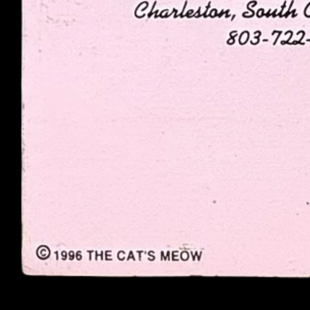 Cat's Meow Rainbow Row #6 Pink Charleston South Carolina Faline Signed 1998